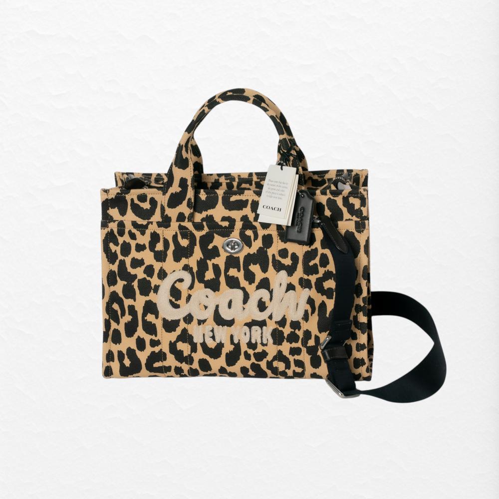 Borsa Coach